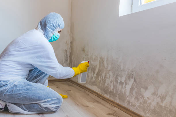 Mold Remediation specialist working in East Berlin